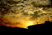IIP Online Student Photography