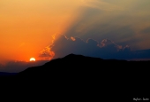 IIP Online Student Photography