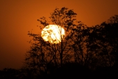 IIP Online Student Photography