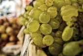 IIP Online Student Photography