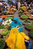 IIP Online Student Photography