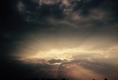 IIP Online Student Photography