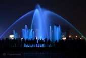 IIP Online Student Photography