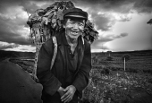 IIP Online Student Photography