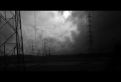 IIP Online Student Photography