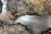 IIP Online Student Photography