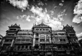 IIP Online Student Photography