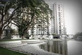 IIP Online Student Photography