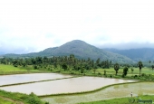 IIP Online Student Photography