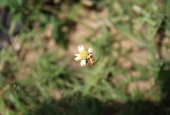 IIP Online Student Photography