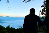 IIP Online Student Photography