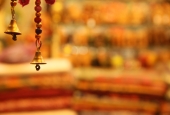 IIP Online Student Photography