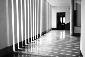 IIP Online Student Photography
