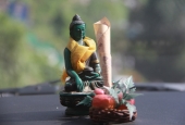 IIP Online Student Photography