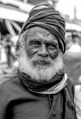 IIP Online Student Photography