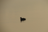 IIP Online Student Photography