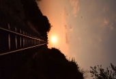 IIP Online Student Photography