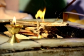 IIP Online Student Photography