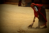 IIP Online Student Photography