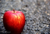 IIP Online Student Photography