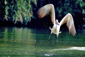 IIP Online Student Photography