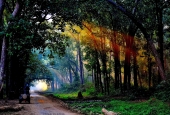 IIP Online Student Photography