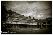 IIP Online Student Photography