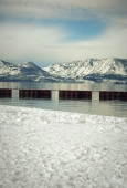 IIP Online Student Photography