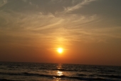 IIP Online Student Photography