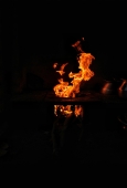 IIP Online Student Photography