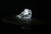 IIP Online Student Photography