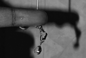 IIP Online Student Photography