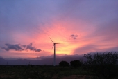 IIP Online Student Photography