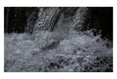 IIP Online Student Photography