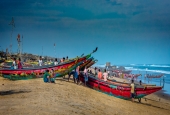 IIP Online Student Photography