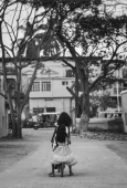 IIP Online Student Photography