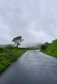 IIP Online Student Photography