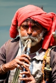 IIP Online Student Photography