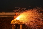IIP Online Student Photography