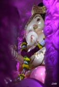 IIP Online Student Photography