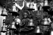 IIP Online Student Photography