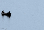 IIP Online Student Photography