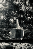 IIP Online Student Photography