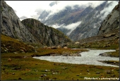 IIP Online Student Photography