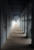 IIP Online Student Photography