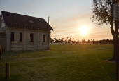 IIP Online Student Photography