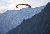 IIP Online Student Photography