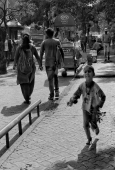 IIP Online Student Photography
