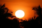 IIP Online Student Photography