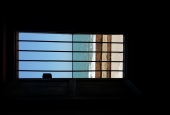 IIP Online Student Photography